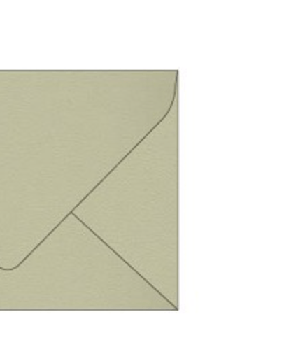 Woodland 'Matcha' 116gm Envelopes - Honest Paper - 22928