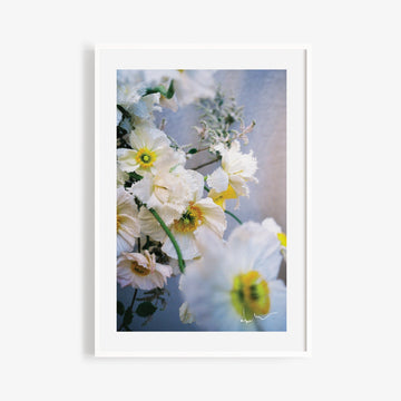 'Poppies' Photographic Print by Film & Foliage *Last Chance* - Honest Paper - 26716